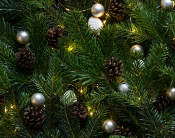 Weihnachtsbaum