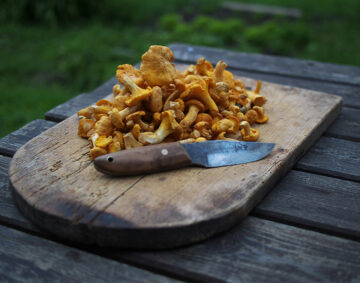 Pfifferlingkarte-2025